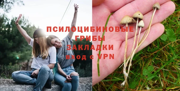 мяу мяу кристалл Заводоуковск