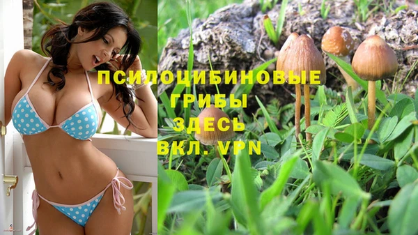 бошки Заволжск