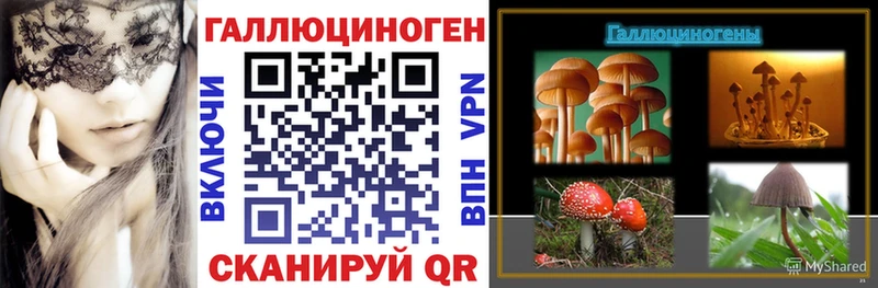 Купить закладки  Мамадыш  Псилоцибиновые грибы прущие грибы 